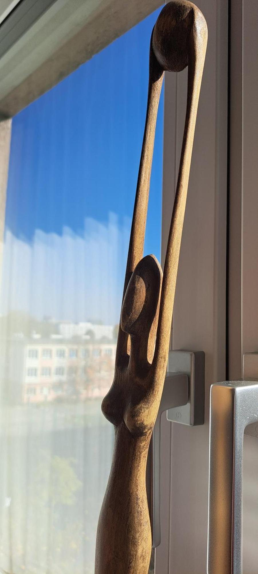 Apartament Wroc'love Haukego Bosaka Check-in 24h *
